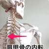 骨模型斜め矢印文字入り